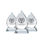 Silver Streak Senior Services Wins Evergreen Award for Best directory for Seniors